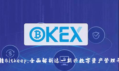 玩转Bitkeep：全面解析这一新兴数字资产管理平台
