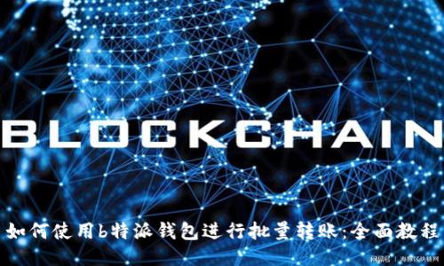 如何使用b特派钱包进行批量转账：全面教程