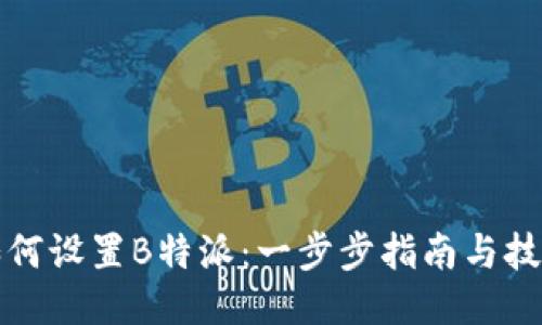 如何设置B特派：一步步指南与技巧