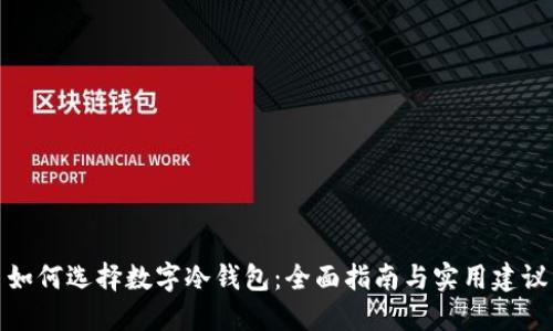 如何选择数字冷钱包：全面指南与实用建议