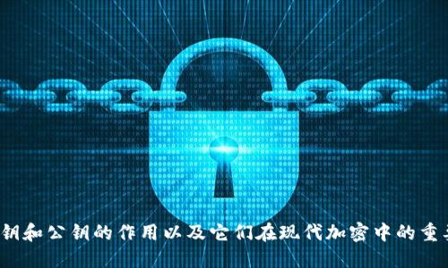  私钥和公钥的作用以及它们在现代加密中的重要性