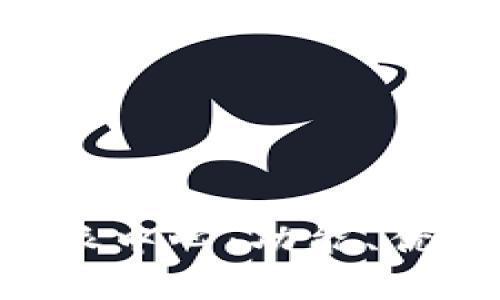 全面了解B特派中心：功能、优势与应用解析