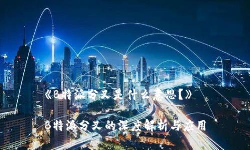 《B特派分叉是什么意思？》

B特派分叉的深度解析与应用