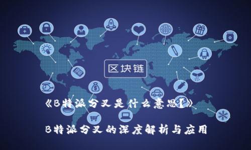 《B特派分叉是什么意思？》

B特派分叉的深度解析与应用