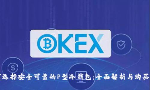 如何选择安全可靠的P型冷钱包：全面解析与购买指南