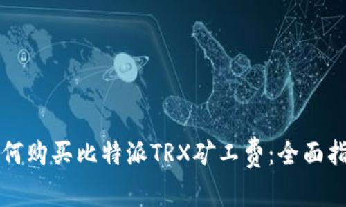 如何购买比特派TRX矿工费：全面指南