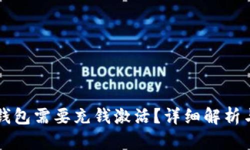 为什么冷钱包需要充钱激活？详细解析与使用指南