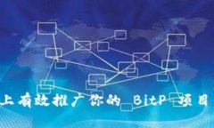 如何在知乎上有效推广你的 BitP 项目：策略与技