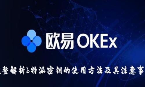 完整解析b特派密钥的使用方法及其注意事项