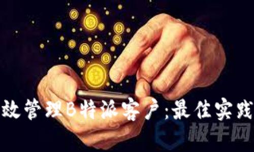 如何有效管理B特派客户：最佳实践与策略