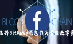项目方为何选择BitKeep钱包作为首选数字资产管理