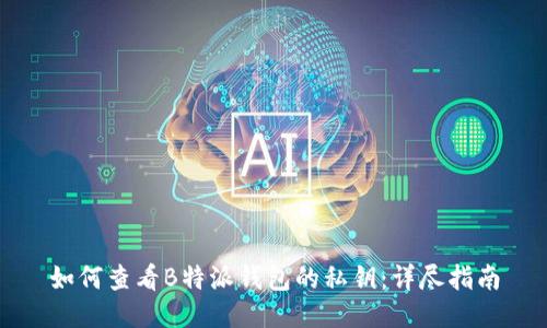 如何查看B特派钱包的私钥：详尽指南