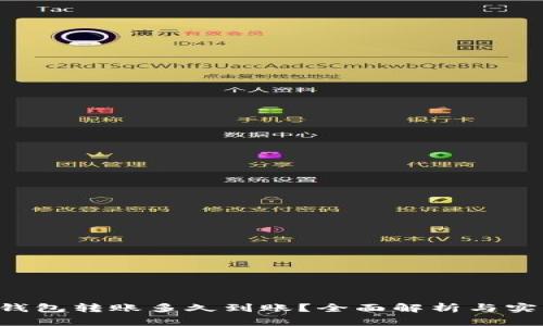 “B特派钱包转账多久到账？全面解析与实用技巧”