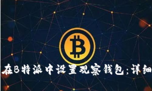 如何在B特派中设置观察钱包：详细指南