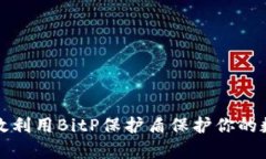 如何有效利用BitP保护盾保护你的数字资产