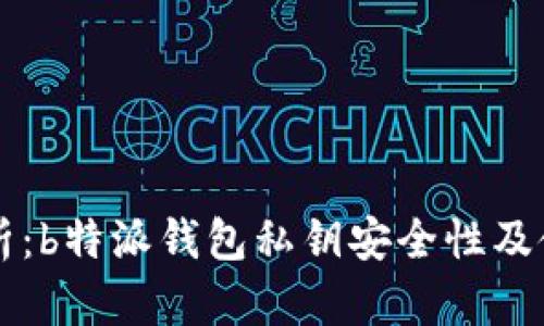 深入分析：b特派钱包私钥安全性及使用指南