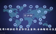 如何使用B特派进行身份信息查询：全面解析与注