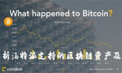 深度解析：b特派支持的区块链资产及其优势