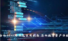最安全的BCHC冷钱包使用指南：您的数字资产保护