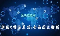 如何辨别B特派真伪：全面图文解析指南