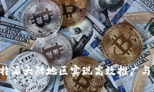 如何在B特派大陆地区实现高效推广与营销策略