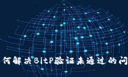 如何解决BitP验证未通过的问题