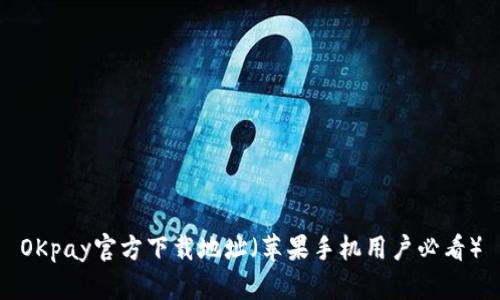 OKpay官方下载地址（苹果手机用户必看）