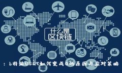 : b特派USDT如何变成0的原因与应对策略