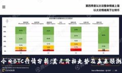 今日BTC行情分析：美元价格走势及未来预测