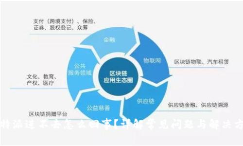 比特派进不去怎么回事？详解常见问题与解决方案