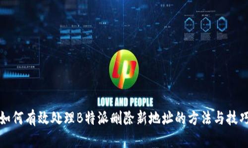 如何有效处理B特派删除新地址的方法与技巧