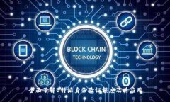 全面了解B特派身份验证额度及其应用