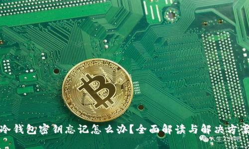 冷钱包密钥忘记怎么办？全面解读与解决方案