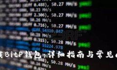 如何下载BitP钱包：详细指南与常见问题解答
