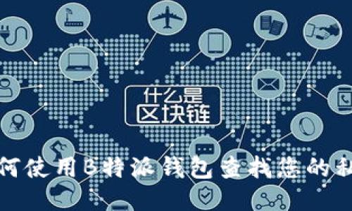 如何使用B特派钱包查找您的私钥