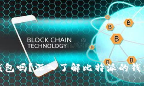 比特派钱包是冷钱包吗？深入了解比特派的钱包类型及其安全性