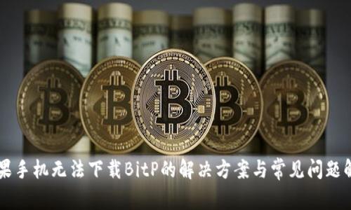 苹果手机无法下载BitP的解决方案与常见问题解析