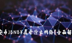 TP冷钱包：币安币（BNB）属于什么网络？全面解析
