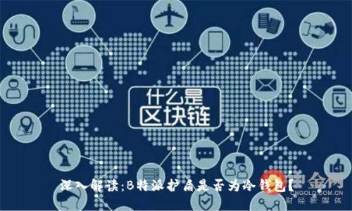 深入解读：B特派护盾是否为冷钱包？