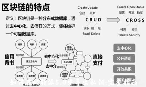 
如何在比特派5.0中导出私钥：完整指南