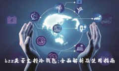 bzz是否支持冷钱包：全面解析及使用指南