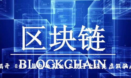  揭开 808 钱包的真相：正规平台还是虚假骗局？