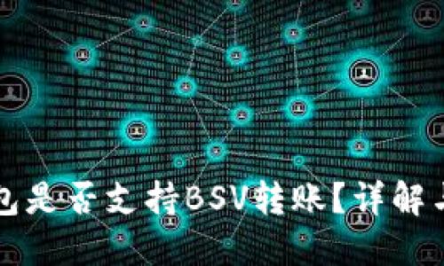 比特派钱包是否支持BSV转账？详解与使用指南