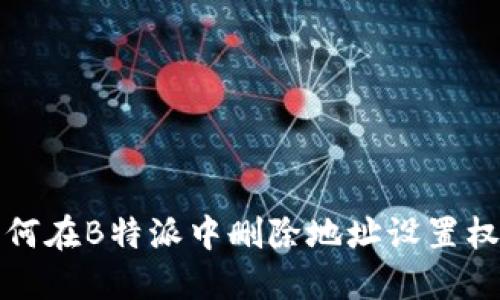 如何在B特派中删除地址设置权限