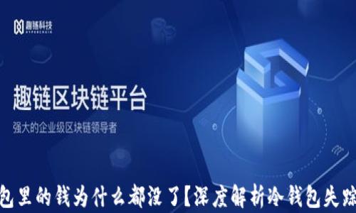 
冷钱包里的钱为什么都没了？深度解析冷钱包失踪之谜