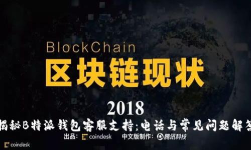 揭秘B特派钱包客服支持：电话与常见问题解答