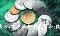 深入探讨Bitkeep与iOS客户端的完美结合：数字资产
