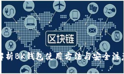 全面解析BK钱包使用方法与安全注意事项