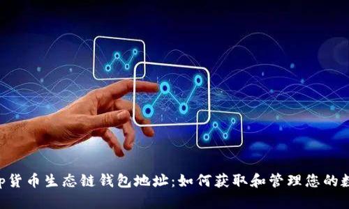 BitKeep货币生态链钱包地址：如何获取和管理您的数字资产
