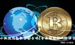 小狐狸钱包软件安全吗？全面解析与风险评估